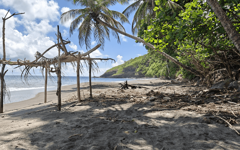 Structure en bois flotté sur la plage isolée.